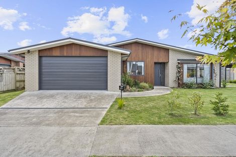 Photo of property in 48 Pengover Avenue, Leamington, Cambridge, 3432