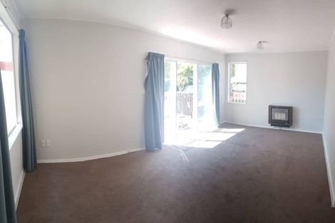 Photo of property in 62 Russell Terrace, Berhampore, Wellington, 6023