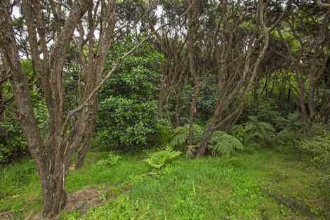 Photo of property in 1615 Whaanga Road, Raglan, 3296