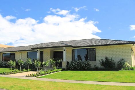 Photo of property in 6 Diana Avenue, Mangapapa, Gisborne, 4010