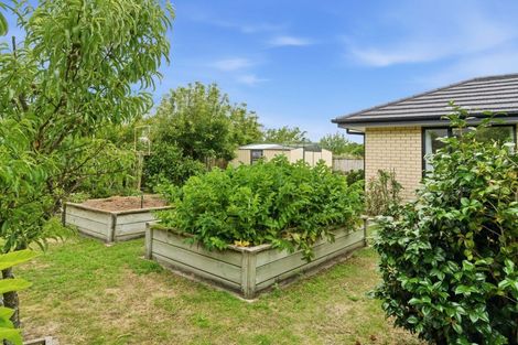 Photo of property in 8 Sunrise Place, Te Aroha, 3320