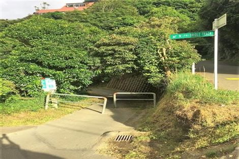 Photo of property in 148 Nicholson Road, Khandallah, Wellington, 6035