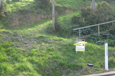 Photo of property in 110 Bella Street, Thames, 3500