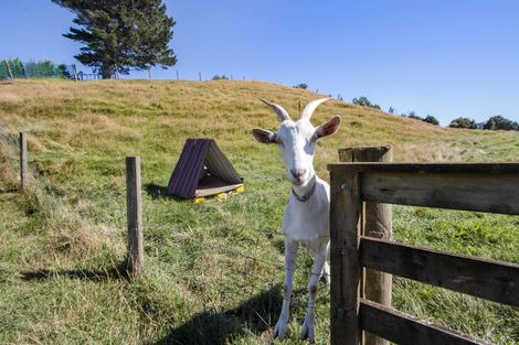 Photo of property in 580 Wright Road, Aongatete, Katikati, 3181