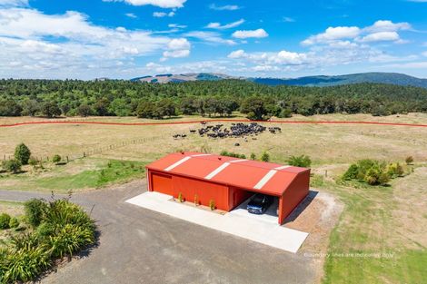 Photo of property in 431 Kawakawa Road, Marotiri, Taupo, 3377