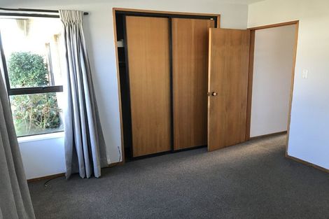 Photo of property in 33b Shannon Place, Belfast, Christchurch, 8051