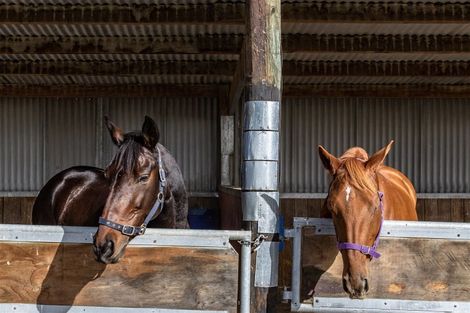 Photo of property in 1891 Oxford Road, Cust, 7471