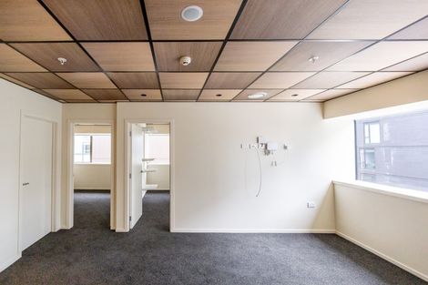 Photo of property in Te Kainga Te Aka, 203 Willis Street, Te Aro, Wellington, 6011