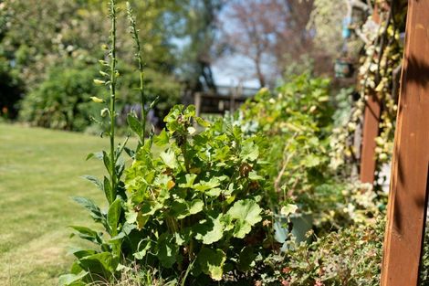 Photo of property in 157 Perrys Road, East Taratahi, Masterton, 5887