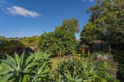 Photo of property in 51 Cholmondeley Crescent, Whitianga, 3510