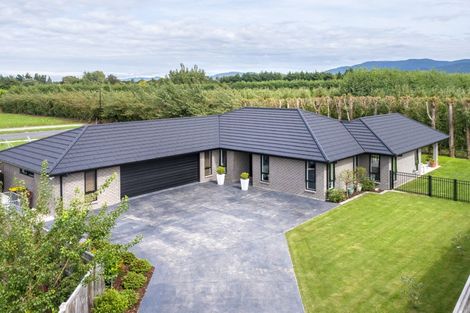 Photo of property in 37 Westwood Avenue, Greytown, 5712