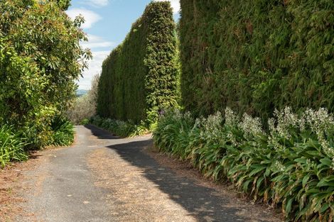 Photo of property in 87 Boscabel Drive, Ohauiti, Tauranga, 3112