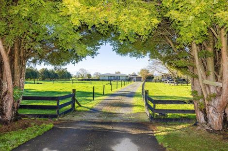 Photo of property in 75 Mill Road, Ohaupo, 3881