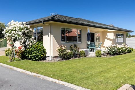 Photo of property in 91a Alfred Street, Blenheim, 7201