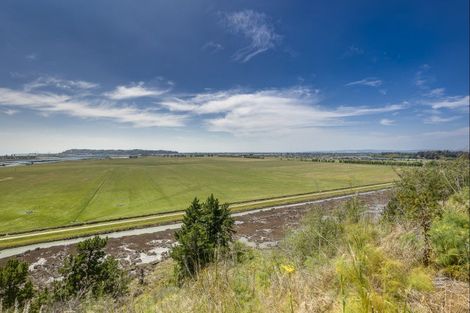 Photo of property in 64a Nilgiri Road, Poraiti, Napier, 4182