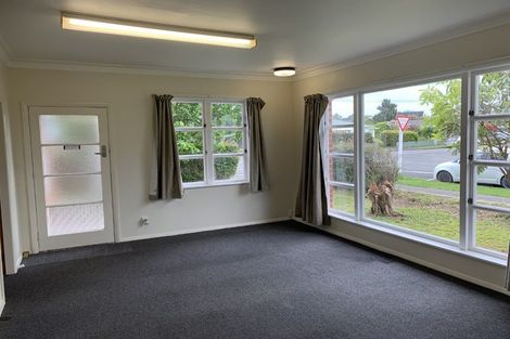Photo of property in 21 Stanley Street, Levin, 5510