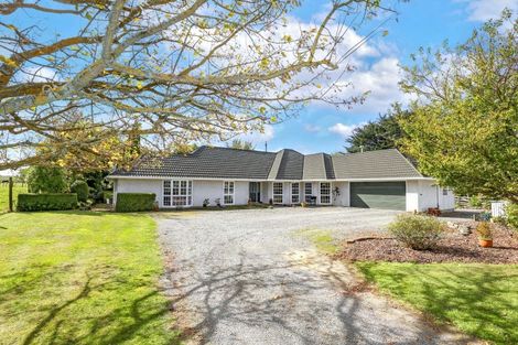 Photo of property in 34b Milne Street, Marton, 4710