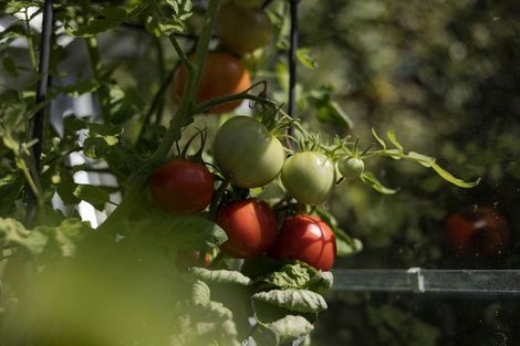 Photo of property in 165 Karori Road, Karori, Wellington, 6012