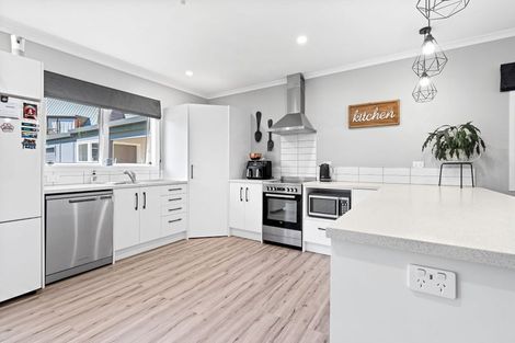 Photo of property in 61c Macarthur Street, Levin, 5510