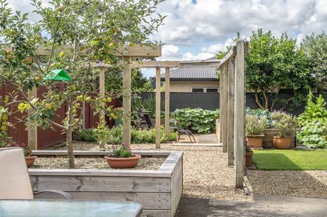 Photo of property in 17 Johnsview Terrace, Hillcrest, Hamilton, 3216