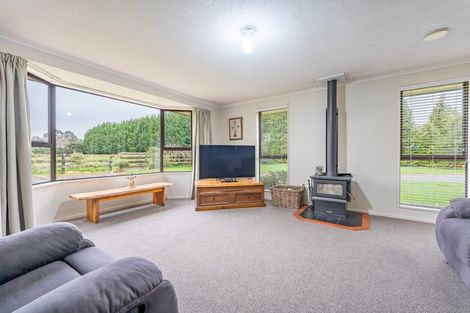 Photo of property in 115 Main North Road, Geraldine, 7930