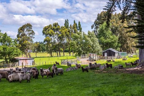 Photo of property in 97 Tataramoa Road, Matamau, Dannevirke, 4977