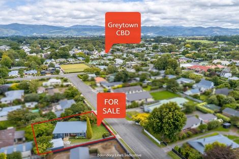 Photo of property in 8 Mahupuku Street, Greytown, 5712
