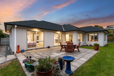 Photo of property in 19 Tongariro Drive, Aotea, Porirua, 5024