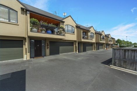 Photo of property in 438f Tristram Street, Whitiora, Hamilton, 3200