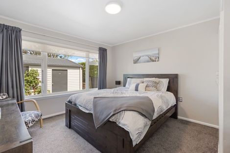 Photo of property in 62 Halswell Road, Hillmorton, Christchurch, 8025