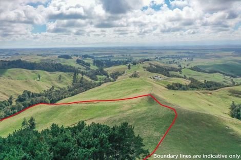 Photo of property in 169 Torehape Road, Kaihere, Ngatea, 3597