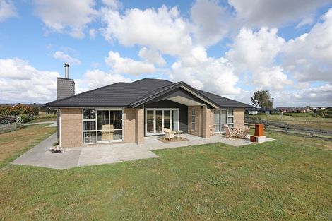 Photo of property in 25 Fallow Avenue, Feilding, 4775
