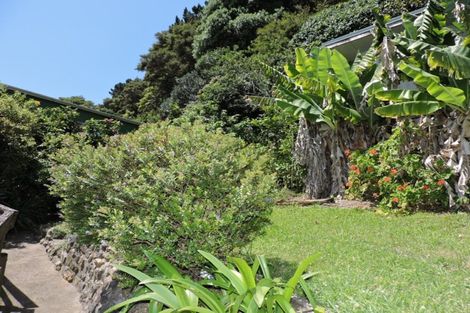 Photo of property in 21 Creagh Street, Tapu, Thames, 3575