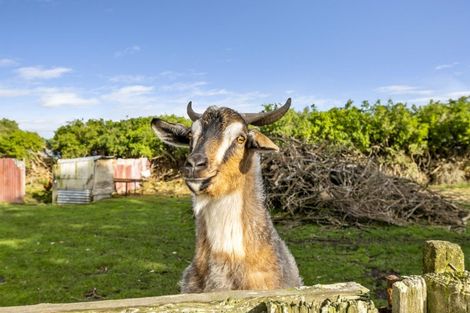 Photo of property in 7 Kaipi Street, Manaia, 4612