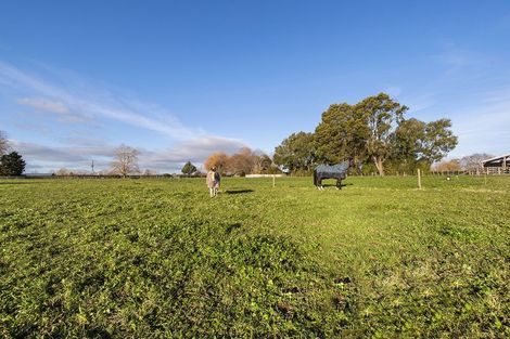 Photo of property in 37 Tarr Road, Ohaupo, 3881