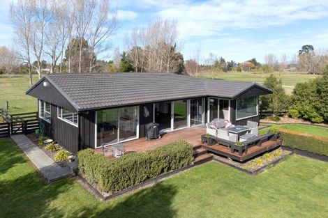 Photo of property in 16 Fergusson Street, Geraldine, 7930