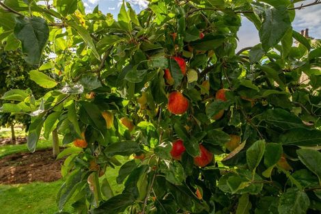 Photo of property in 56 Burgess Road, Herbert, Oamaru, 9495