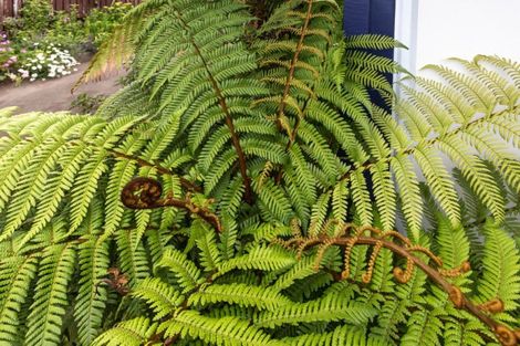 Photo of property in 307 Hetherington Road, Whangamata, 3620