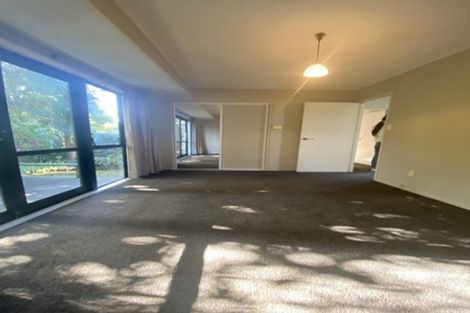 Photo of property in 19a Amante Crescent, Mairangi Bay, Auckland, 0630