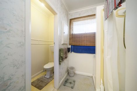 Photo of property in 18 Windsor Street, Terrace End, Palmerston North, 4410