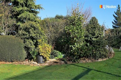 Photo of property in 1a Roseness Street, Palmerston, 9430