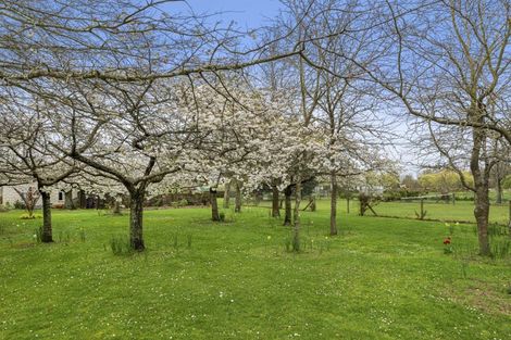 Photo of property in 11 Orchard Place, Clarkville, Kaiapoi, 7691