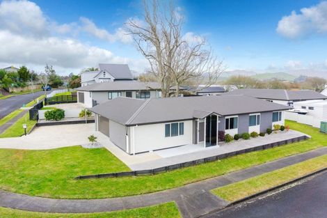 Photo of property in 18 Harlock Place, Huntly, 3700