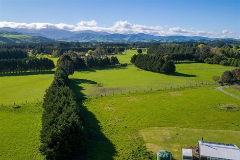 Photo of property in 435 Norfolk Road, Waingawa, Carterton, 5791