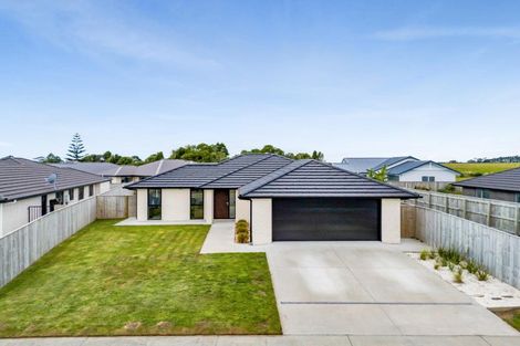 Photo of property in 44 Aratapu Street, Waitara, 4320