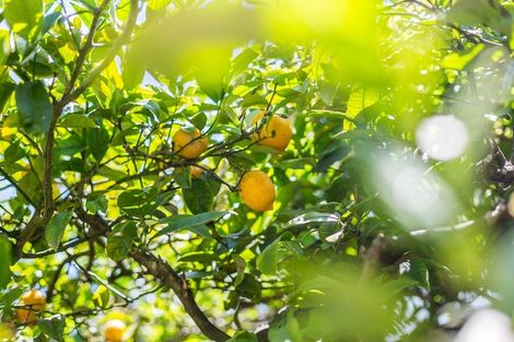 Photo of property in 4 Tui Street, Alicetown, Lower Hutt, 5010