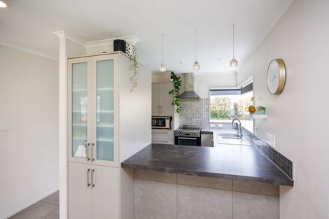 Photo of property in 30 Vista Drive, Feilding, 4702