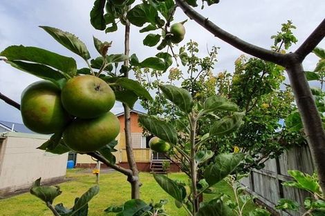 Photo of property in 52 Wallace Place, Westown, New Plymouth, 4310