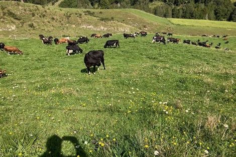 Photo of property in 755 Limeworks Loop Road, Karamu, Hamilton, 3285