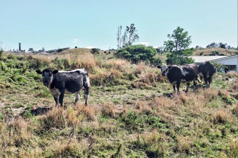 Photo of property in 47 Ngatarua Road, Putiki, Whanganui, 4500